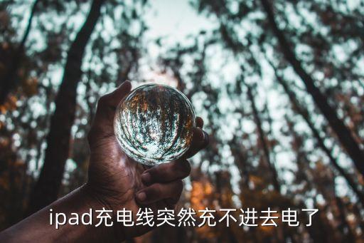  ipad充电线突然充不进去电了