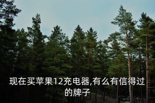 现在买苹果12充电器,有么有信得过的牌子