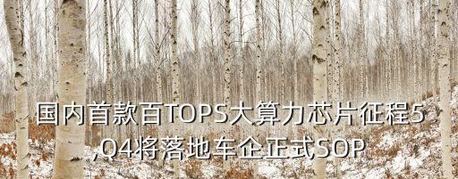 国内首款百tops大算力芯片征程5,q4将落地车企正式sop