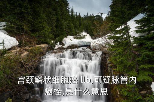 宫颈鳞状细胞癌 llb,可疑脉管内癌栓,是什么意思