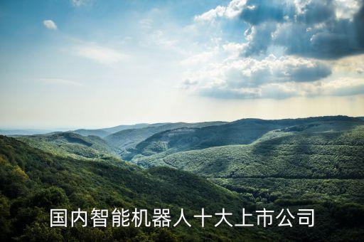国内智能机器人十大上市公司