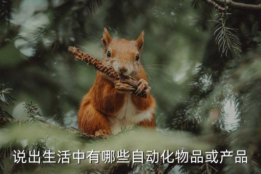 说出生活中有哪些自动化物品或产品