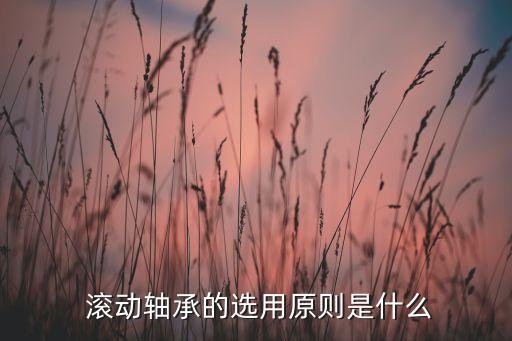  滚动轴承的选用原则是什么