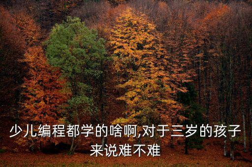 小i儿童3-6岁机器人,智能教育机器人适合3岁孩子吗?
