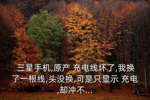 三星非原装数据线充电,三星nx1000可以用数据线充电吗