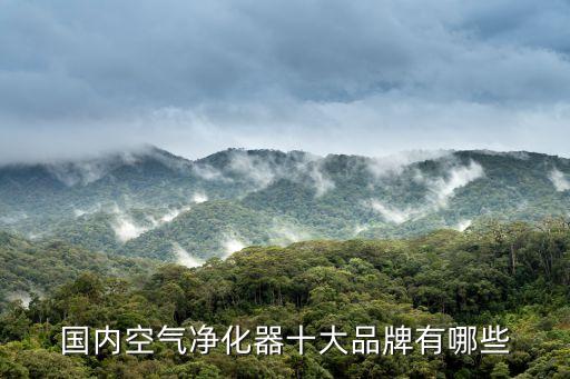 国内空气净化器十大品牌有哪些