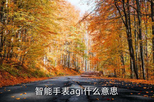 智能手表agi什么意思