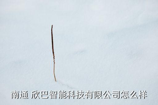 南通 欣巴智能科技有限公司怎么样