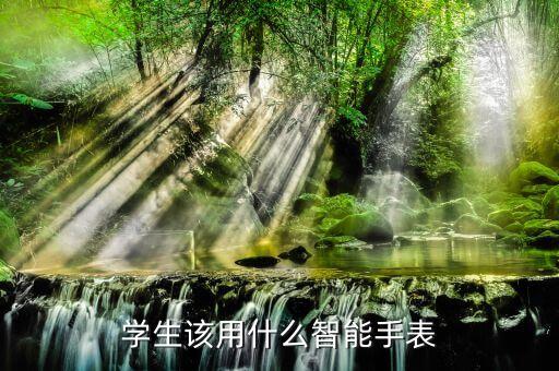 学生该用什么智能手表