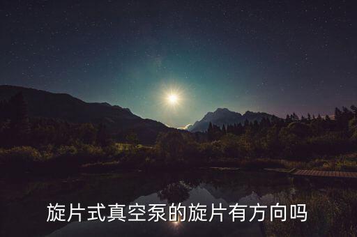 旋片式真空泵的旋片有方向吗