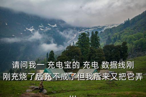 请问我一 充电宝的 充电 数据线刚刚充烧了后充不成了但我后来又把它弄...