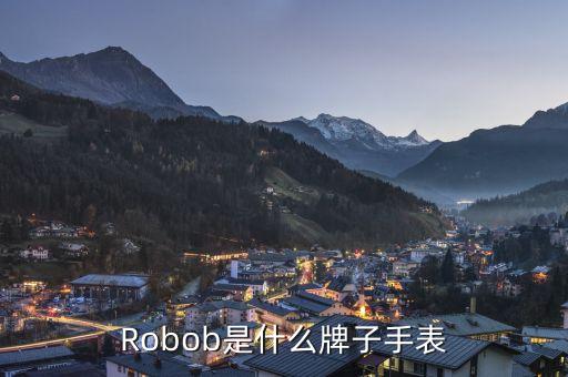robob是什么牌子手表