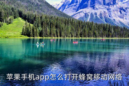 苹果手机app怎么打开蜂窝移动网络