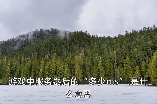 游戏中服务器后的“多少ms”,是什么意思