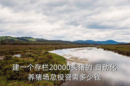 建一个存栏20000头猪的 自动化养猪场总投资需多少钱