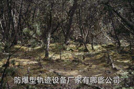 防爆型轨迹设备厂家有哪些公司