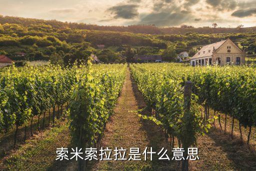 上海索米自动化设备,索米陶陶炉你知道这个吗?