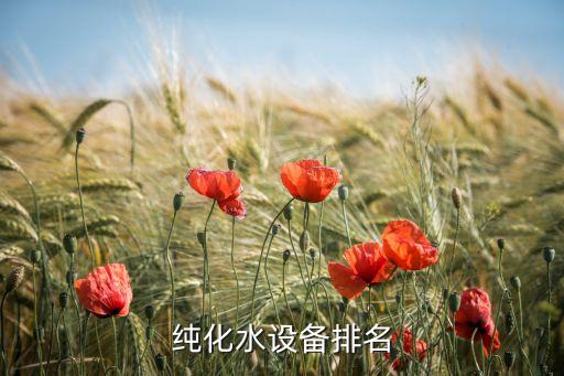 纯化水设备排名