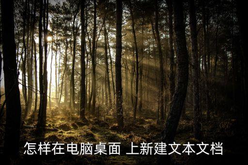 怎样在电脑桌面 上新建文本文档