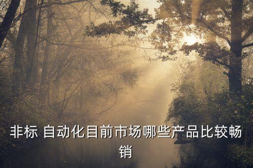 非标 自动化目前市场哪些产品比较畅销