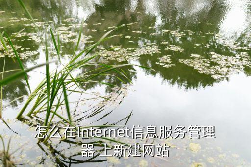 怎么在internet信息服务管理器 上新建网站