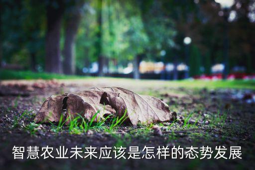 智慧农业未来应该是怎样的态势发展