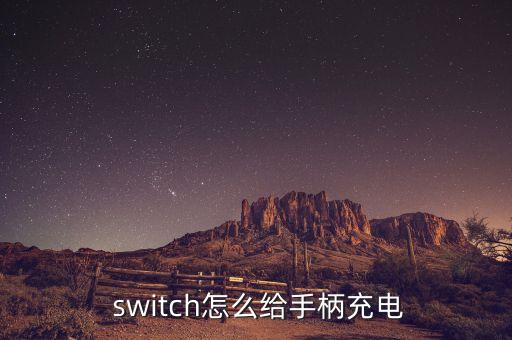  switch怎么给手柄充电