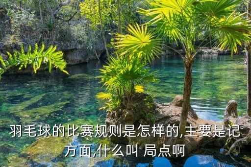 羽毛球的比赛规则是怎样的,主要是记方面,什么叫 局点啊