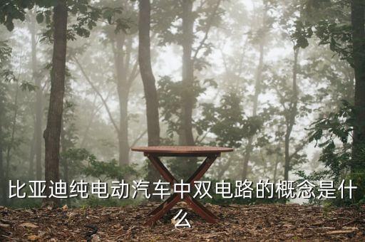 比亚迪纯电动汽车中双电路的概念是什么