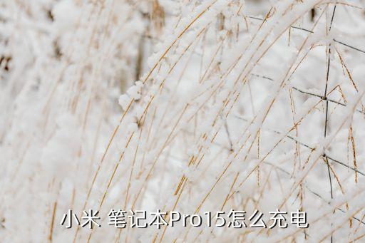 小米笔记本pro数据