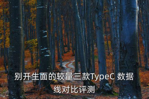 数据线结构,typec数据线结构