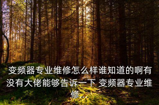  变频器专业维修怎么样谁知道的啊有没有大佬能够告诉一下 变频器专业维修...