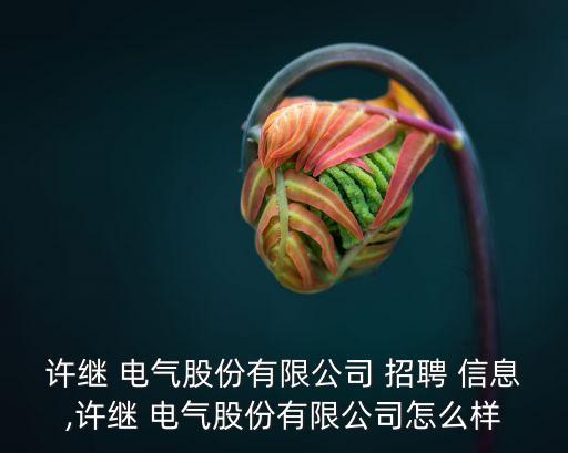 许继 电气股份有限公司 招聘 信息,许继 电气股份有限公司怎么样