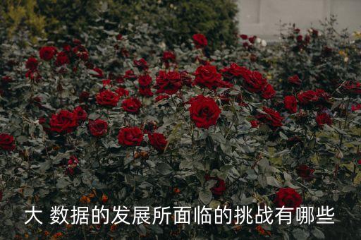 2017 大数据应用,中国2017新生儿数据