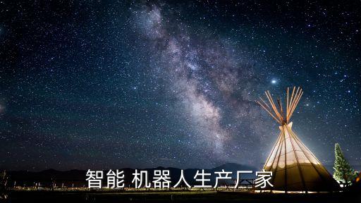 智能 机器人生产厂家