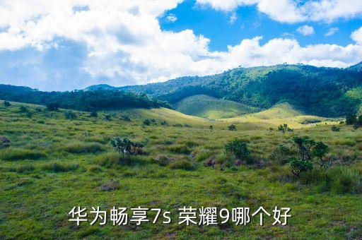 荣耀9青春版参数