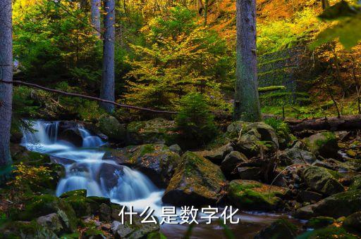 数据的数字化应用,数字化应用包括哪些方面