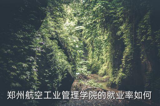 郑州航空工业管理学院的就业率如何