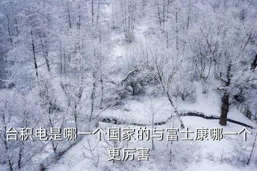 台积电是哪一个国家的与富士康哪一个更厉害
