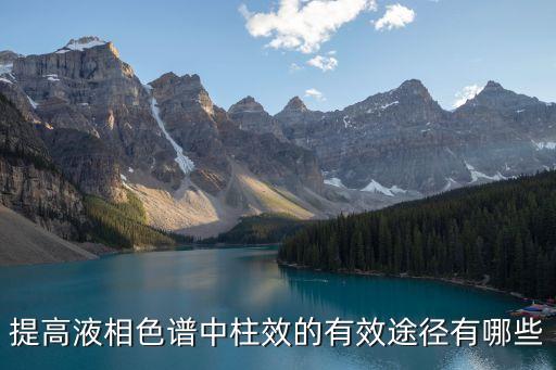 提高液相色谱中柱效的有效途径有哪些