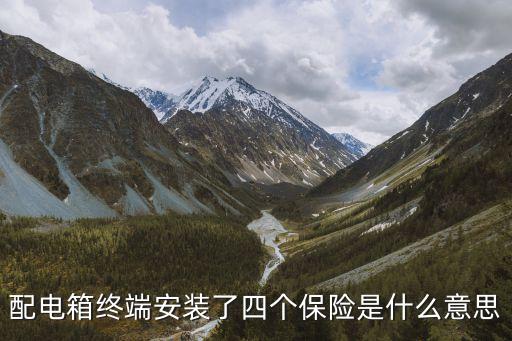 配电箱终端安装了四个保险是什么意思