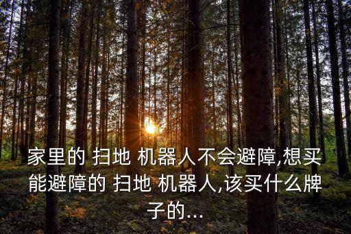 飞利浦 扫地机器人
