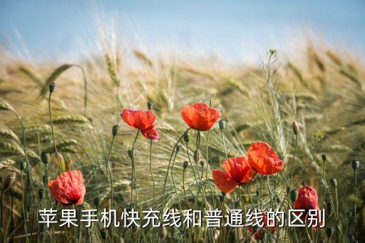 数据线材质区分,快充数据线和手机充电线的区别