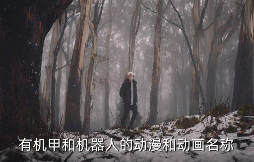 有机甲和机器人的动漫和动画名称
