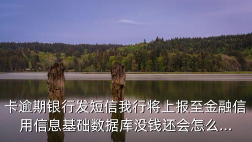 信用卡被出数据库,信用卡数据库的营销策略正在进行中