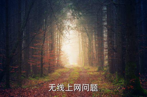 无线上网问题