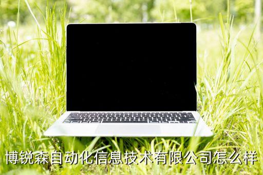 博锐森自动化信息技术有限公司怎么样