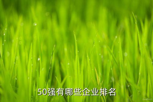 50强有哪些企业排名