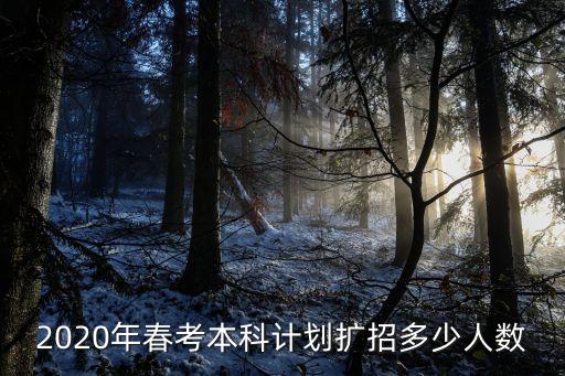 2020年春考本科计划扩招多少人数