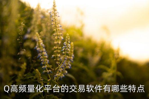 量化交易软件开发,你平时用什么软件做量化交易?